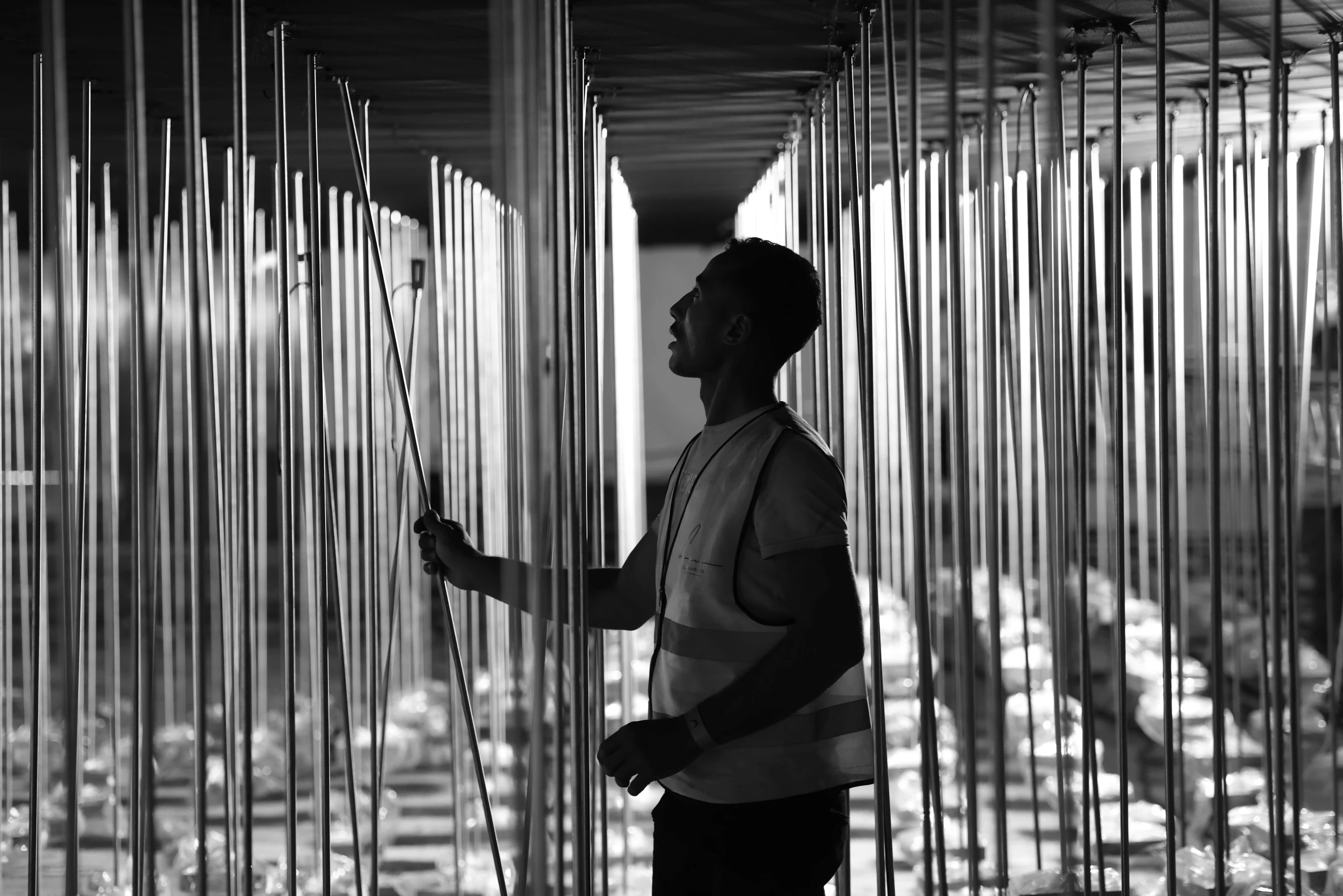 into-lumiere